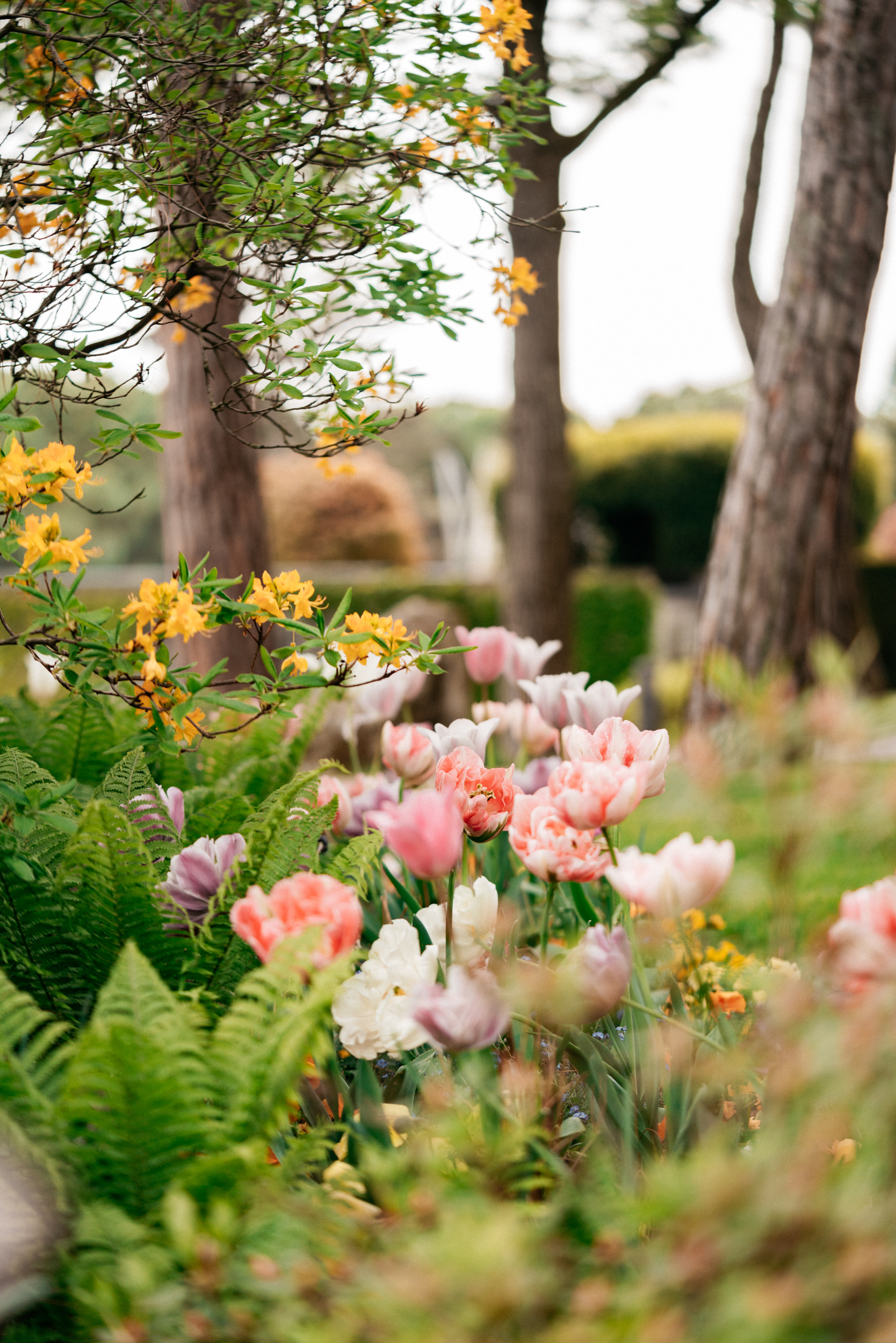 beau-rivage-palace-jardins-fleurs-02.jpg