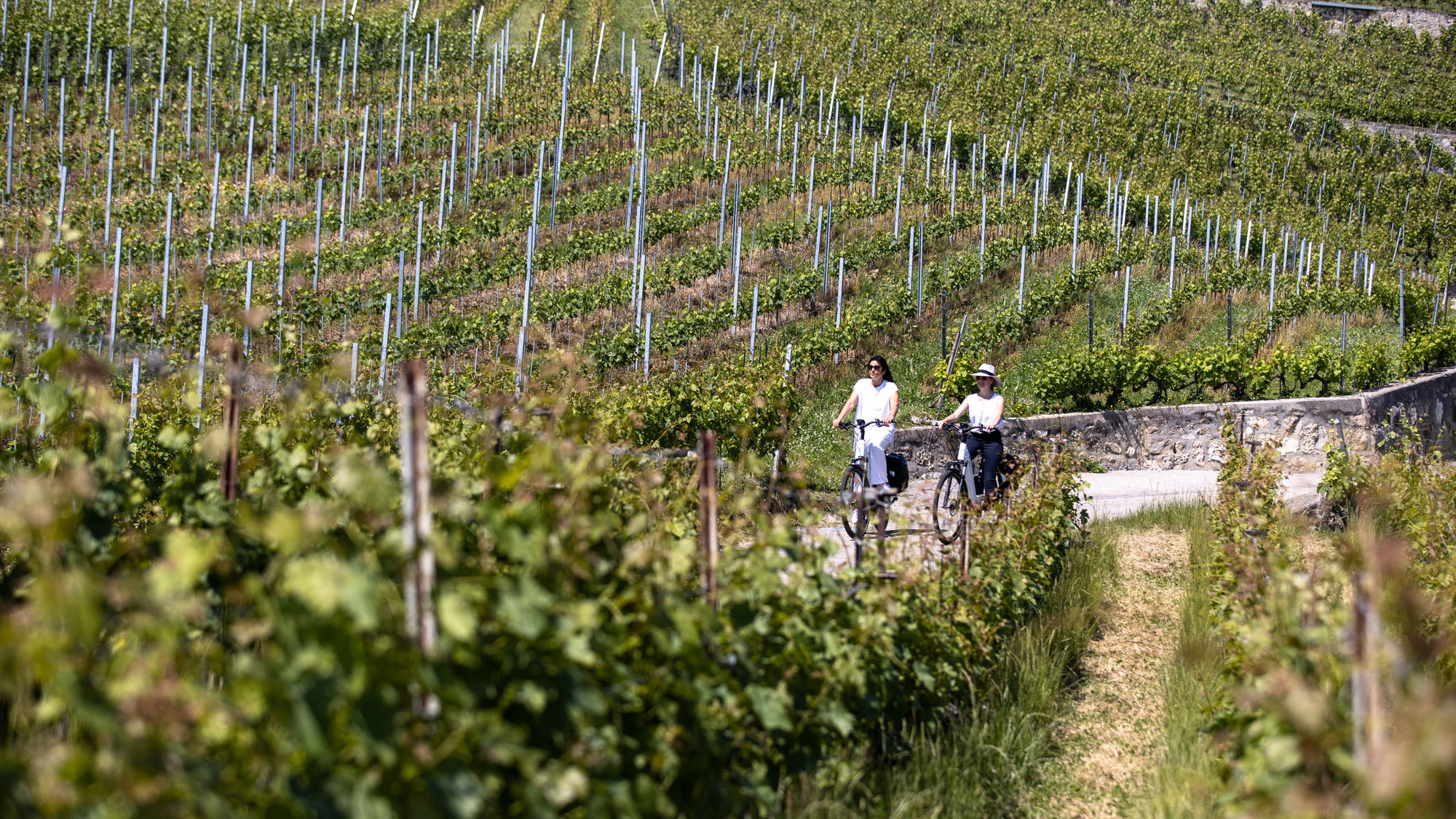 lavaux-deux-personnes-velo-vignes-03.jpg