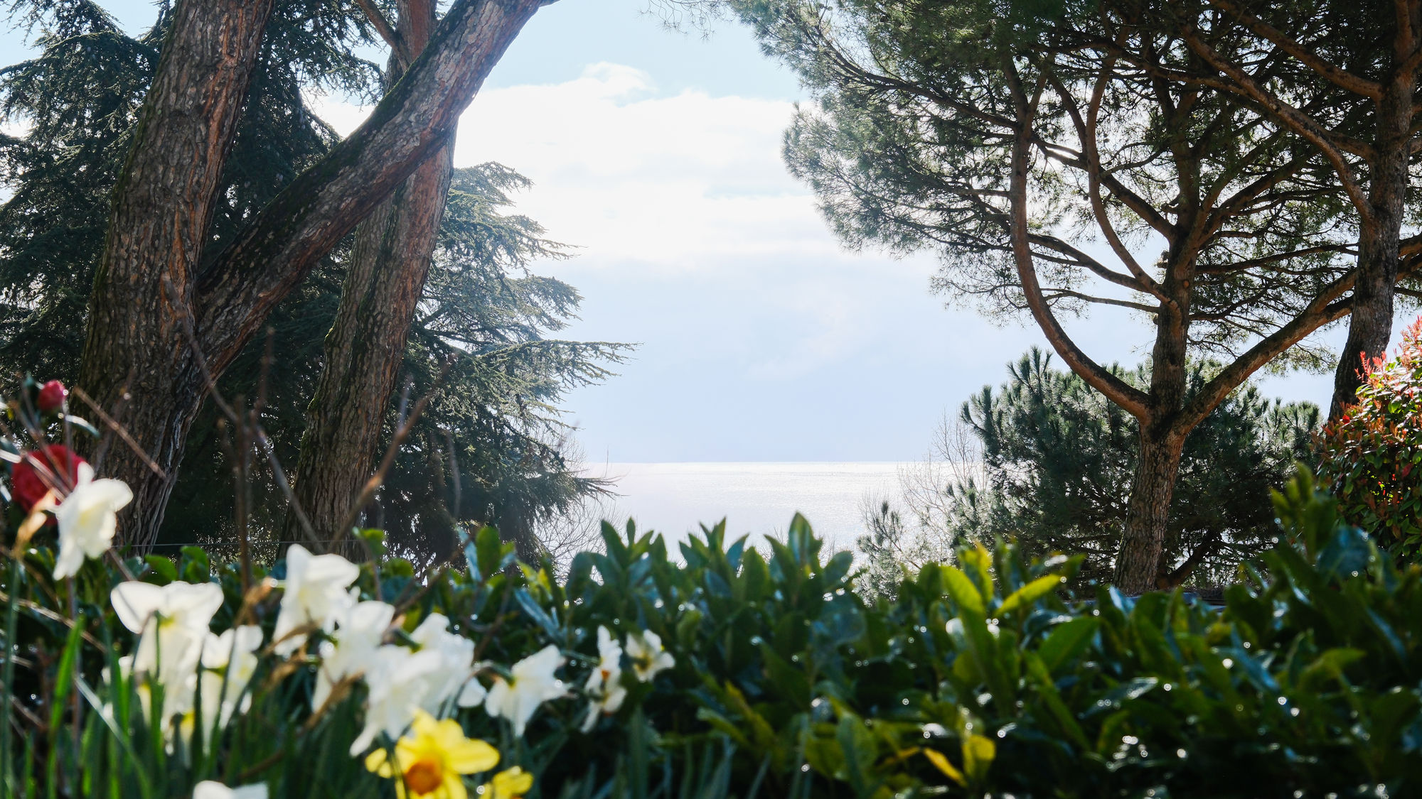 Bau-Rivage-Palace-Jardins-Printemps