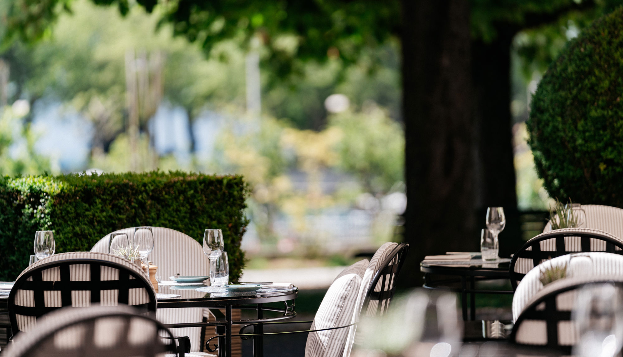 cafe-beau-rivage-soleil-ete-lac-leman-04.jpg